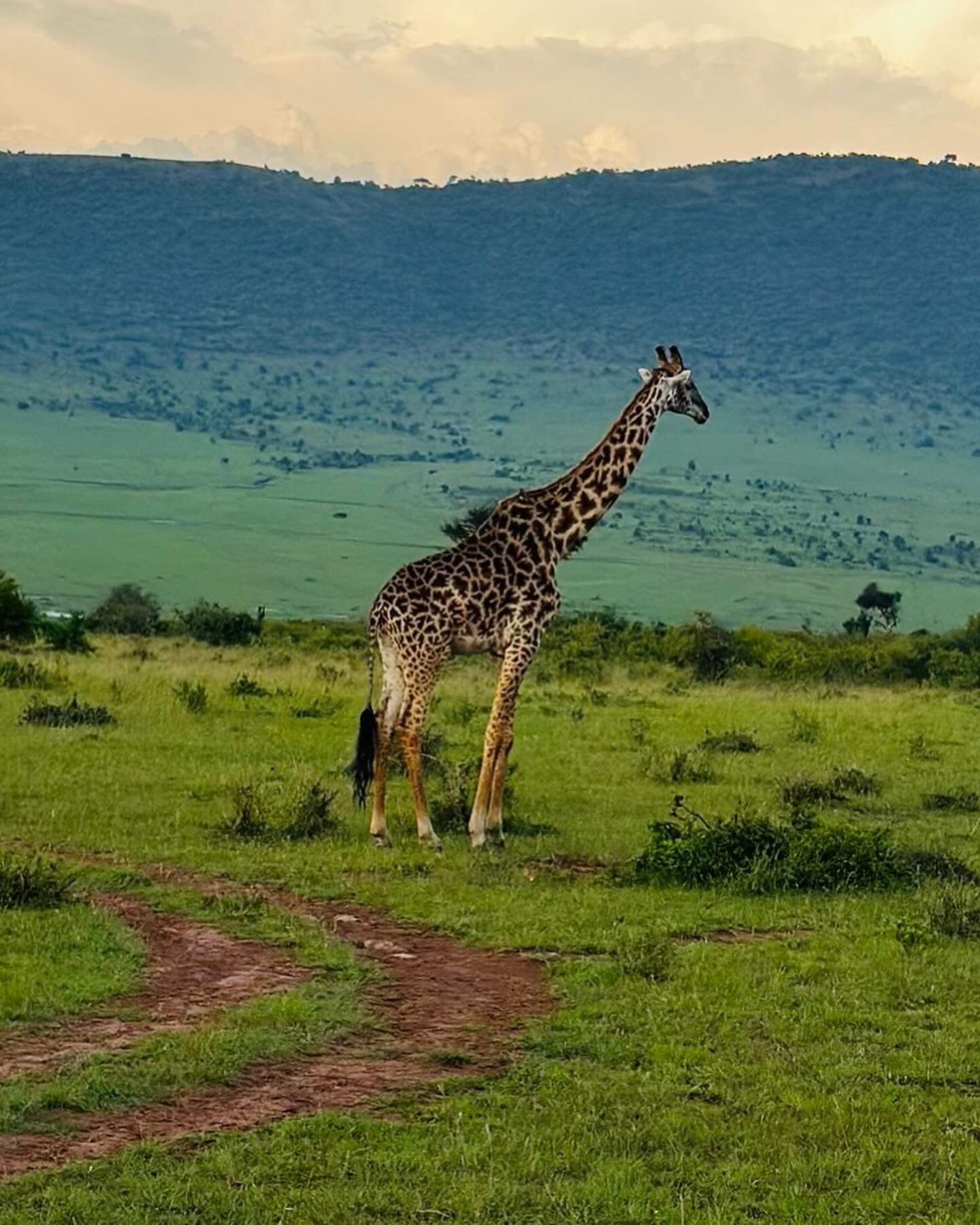 Amboseli National Park Safari, Kenya - Oceanbaby Tours & Travel East Africa