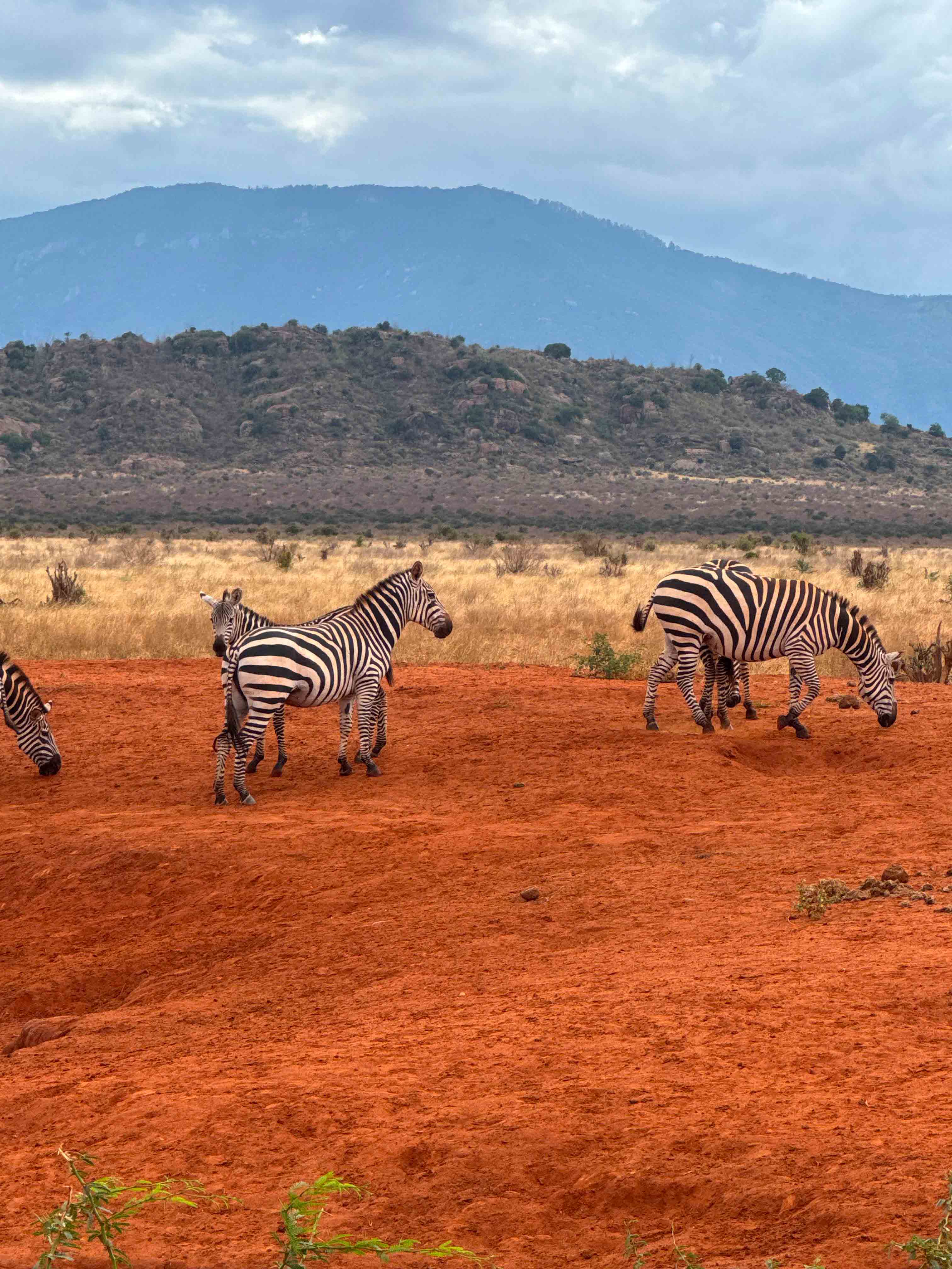 Kenya safari and travel experience with Oceanbaby Tours - 2