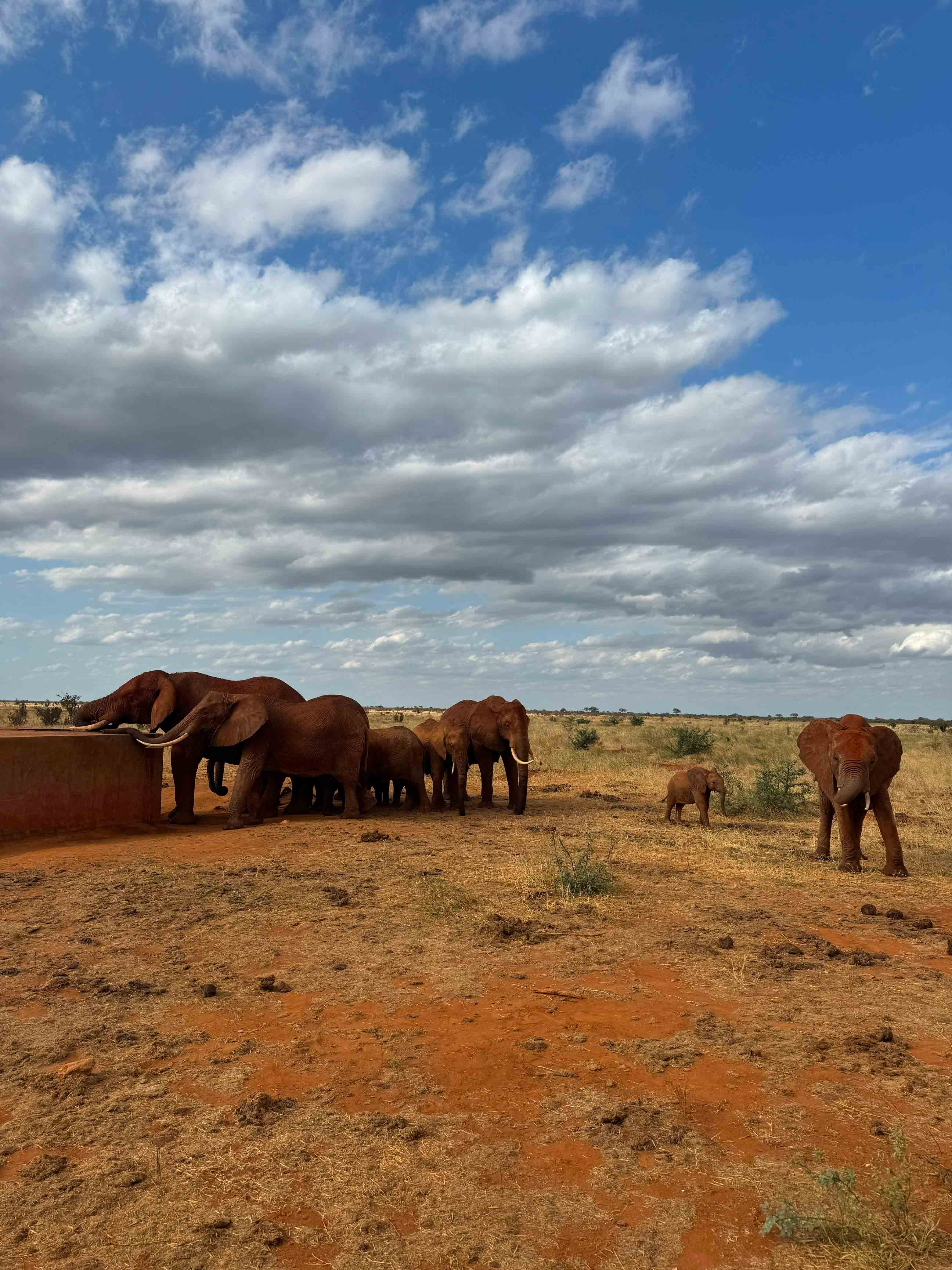 Kenya safari and travel experience with Oceanbaby Tours - 3