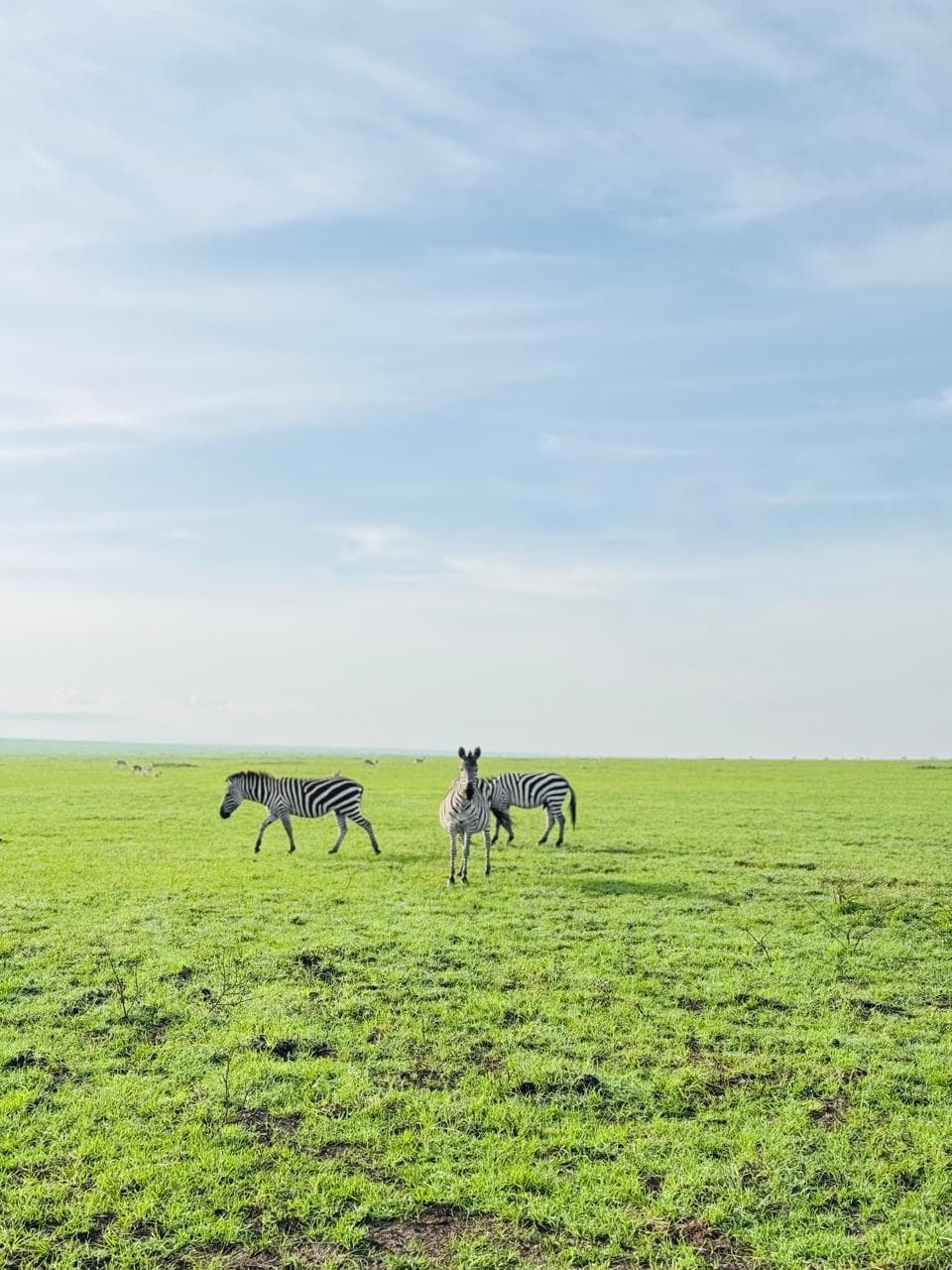 Kenya safari and travel experience with Oceanbaby Tours - 4