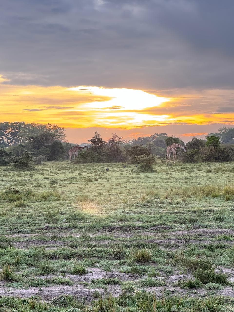 Kenya safari and travel experience with Oceanbaby Tours - 5