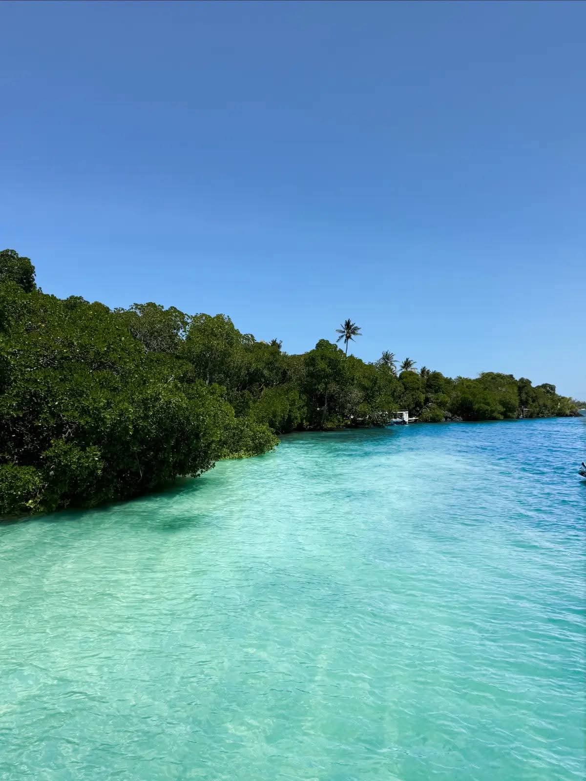 Watamu Marine Park & Beach Tour, Kenya - Oceanbaby Tours & Travel East Africa