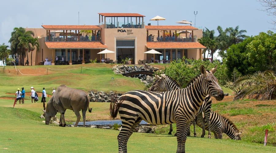 Vipingo Adventure - Oceanbaby Tours